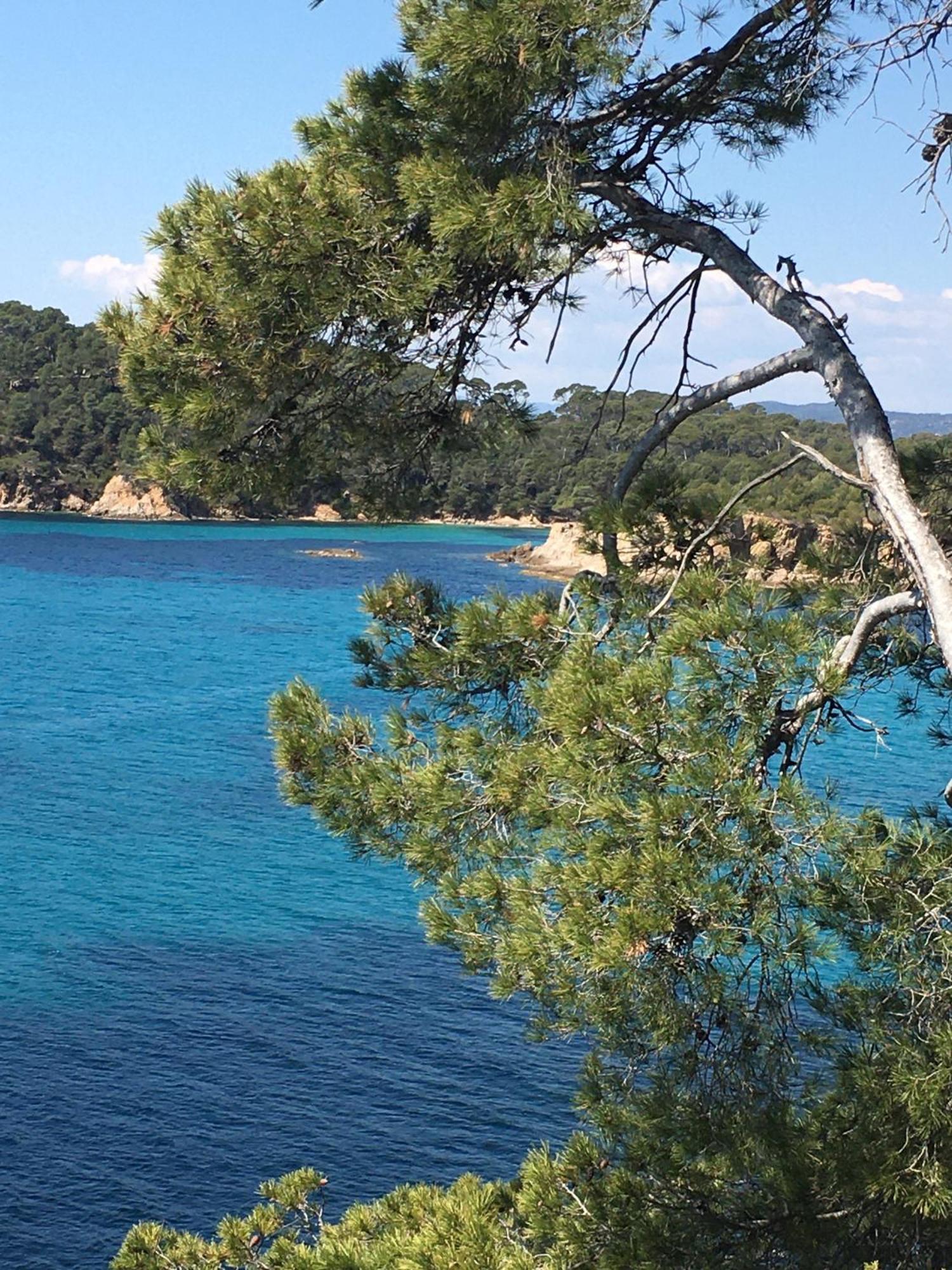 Appartement T3 Lumineux Traversant Totalement Neuf En Face De La Plage Front De Mer Vue Sur Les Iles Vue Mer Panoramique Assuree Residence De La Plage Centre Ville Du Lavandou 3Eme Etage Avec Ascenseur Appartement T3 ル・ラヴァンドゥー エクステリア 写真